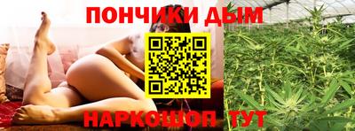 шишки Тулун