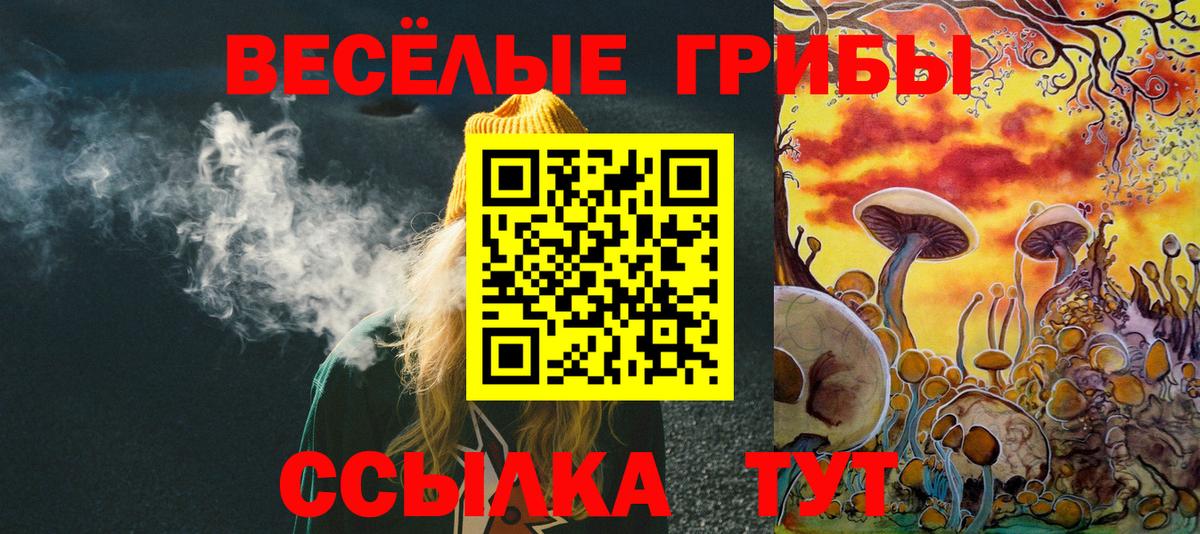 как найти наркотики  Псилоцибиновые грибы MAGIC MUSHROOMS  Вход с VPN  Ялуторовск 